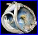Aquatic Dolphin/Shells Ceramic Art Pottery Diorama by Linda Gonzalez Petaluma Ca