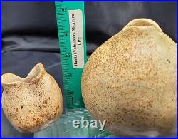 Ceramic Vases 2 Unique Hand Built Studio Art Pottery Pieces Speckled Eclectic