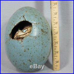 Dennis Thompson Dragon Hatchling Egg from Snobhog Studios Art Pottery Perfect