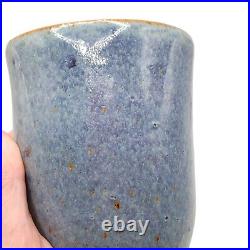 Handmade Ceramic Mushroom Folk Art Vase Studio Pottery Gas Fired Blue Signed
