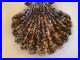 Irma Ca Art Pottery Signed Glazed Speckled Large Seashell WOW