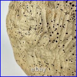 Masterful Beehive Like Organic Shaped Signed Vintage Pottery Vase 1980