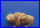 Mata Ortiz Pottery Tomas Quintana Large Buffalo Bison Effigy Art Mexican Ceramic