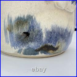 Studio Art Pottery Ceramic Tropical Fish teapot Signed