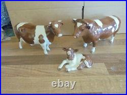 Very Rare Beswick Bcc Red Friesian. Calf 2690